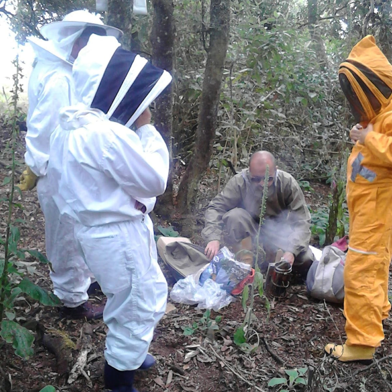Apicultura en Santander