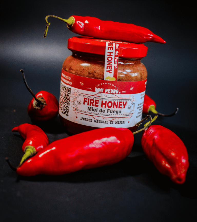 Adobe Express - file