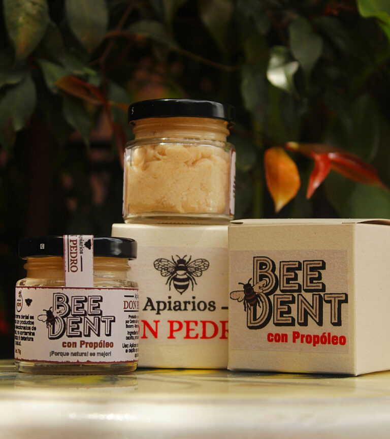 Adobe Express - file